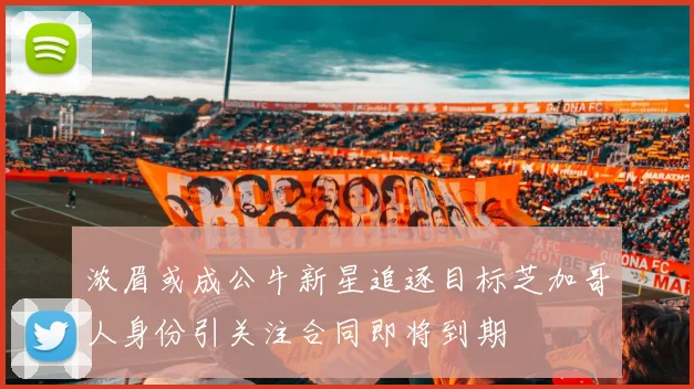 浓眉或成公牛新星追逐目标芝加哥人身份引关注合同即将到期