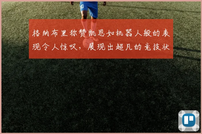格纳布里称赞凯恩如机器人般的表现令人惊叹，展现出超凡的竞技状态