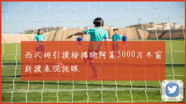 西汉姆引援榜揭晓阿莱5000万冬窗新援表现抢眼