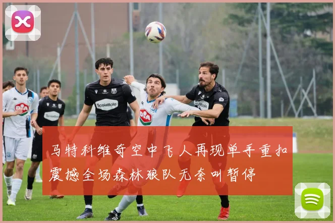 马特科维奇空中飞人再现单手重扣震撼全场森林狼队无奈叫暂停
